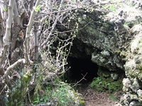 Grotta Gussonea